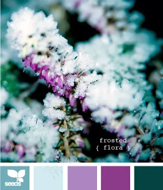 冬天系配色色卡色彩搭配