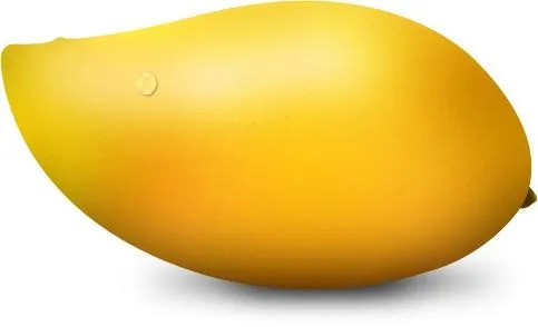 芒果 PNG免抠(483x294)