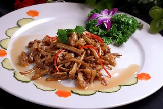 XCXC0260菜菇蹄筋