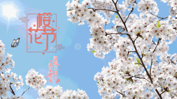樱花节/樱花/与君共赏/醉美樱花季/蝴蝶