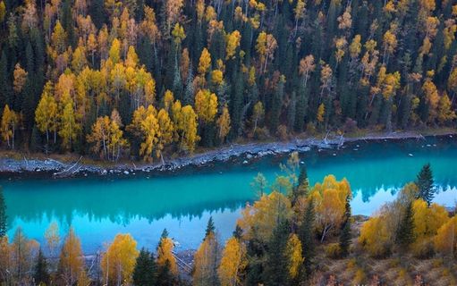 新疆喀纳斯湖秋天美景高清图片