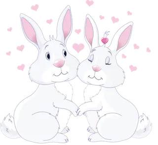 兔子爱情兔年