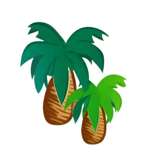 树棕榈树免抠(2048x2048)