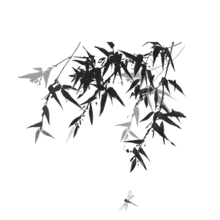 竹子水墨画中国风国画墨水书法竹子画