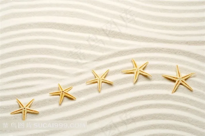 海生无脊椎动物海星图