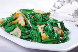 0911LCS-1069野菜美人菌