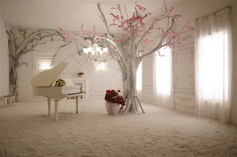 樱花房间空间感