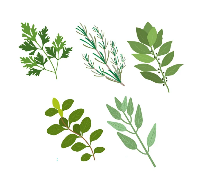 免抠清新花草树叶素材