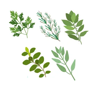 免抠清新花草树叶素材