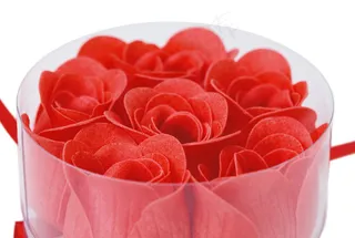 高清晰玫瑰花图片下载