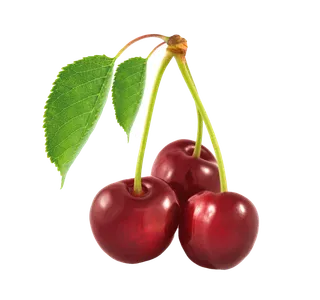 樱桃 (8)水果超市商品白底图免抠实物摄影png格式图片透明底