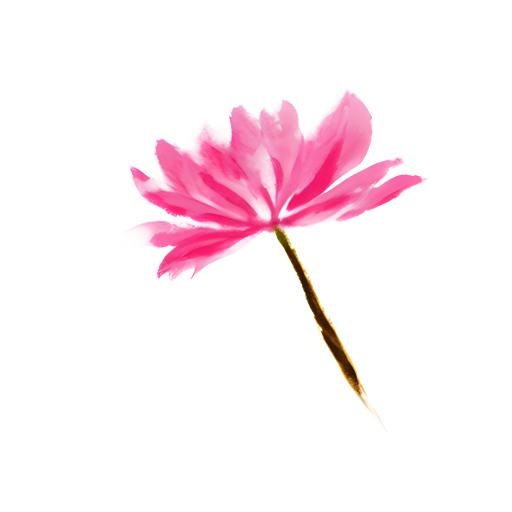 花免抠(2048x2048)