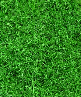 绿色背景素材图片下载