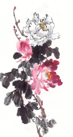 国画花鸟欣赏花素材