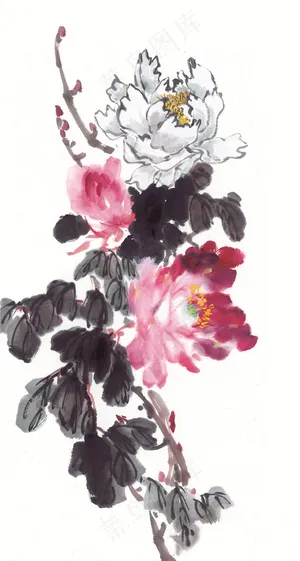 国画花鸟欣赏花素材 国画花鸟欣赏花素材