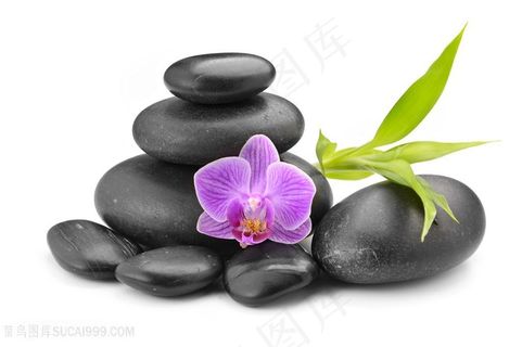 唯美花朵与按摩石