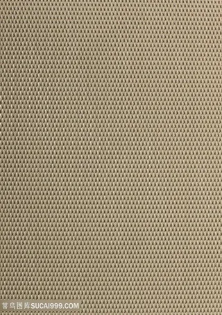 地毯 布纹 纹理 中式地毯 客厅地毯 卧室地毯 沙发地毯 家装地毯 床边毯 地垫 现代地毯 几何地毯