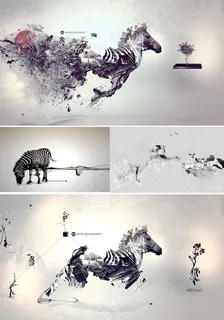 斑马驯鹿图片 斑马驯鹿图片