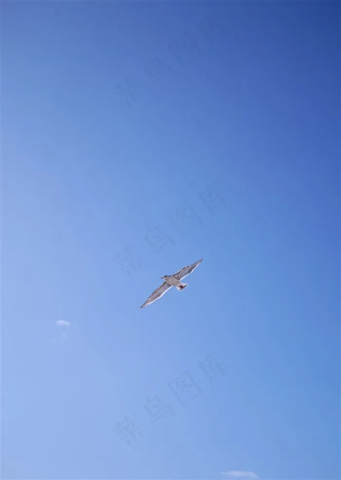 晴空万里背景素材