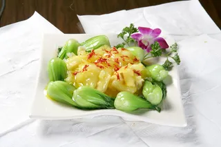 红花汁鱼肚--简介