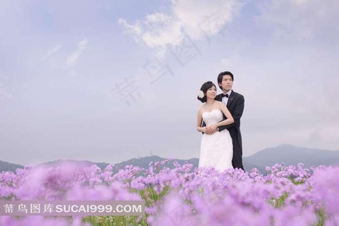 蓝天薰衣草花园中的白色婚纱情侣摄影写真