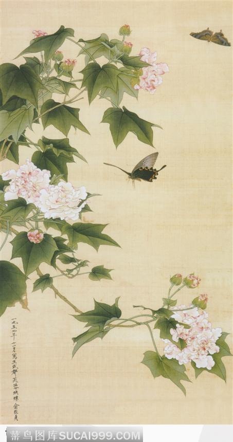 芙蓉蛱蝶图