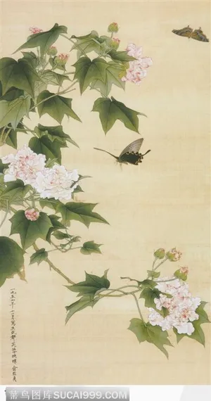芙蓉蛱蝶图 芙蓉蛱蝶图