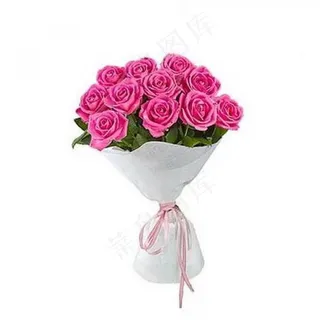 粉色浪漫玫瑰花束图片