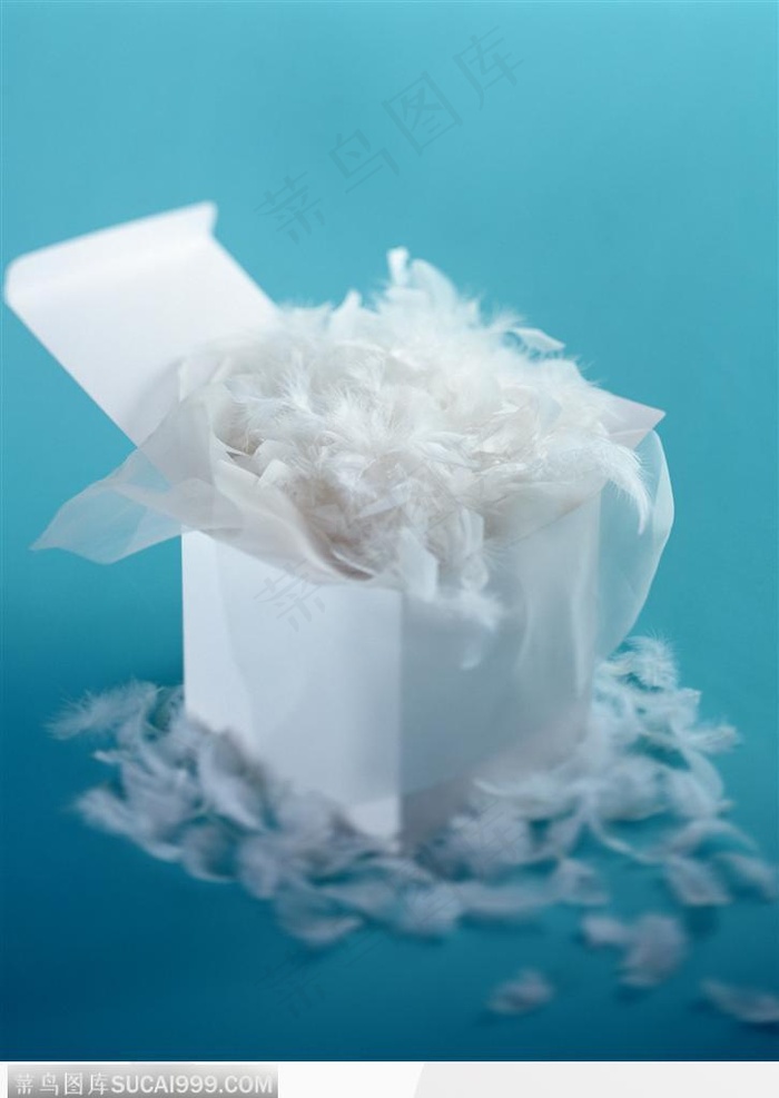 礼物饰品-白色的羽毛与散落的盒子