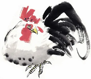 野生动物欣赏摄影图片