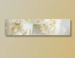 横屏宽幅banner底图素材图片