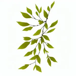树枝免抠