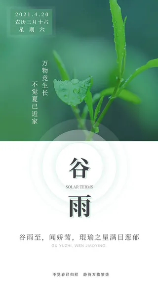 谷雨二十四节气海报设计