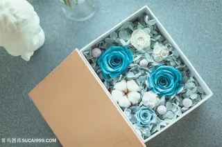 插花花艺文艺花玫瑰背景