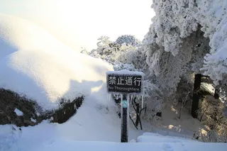 安徽安庆天竺山雪景图片-第5张