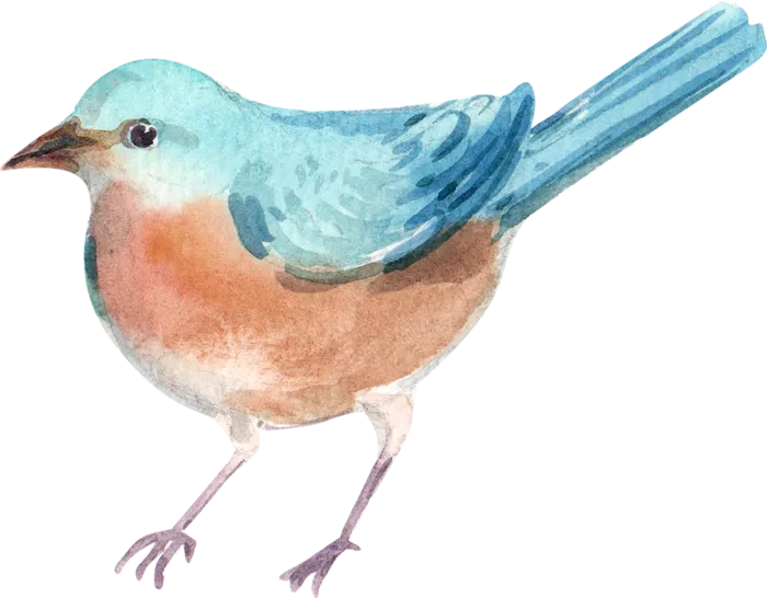 插画免抠高清素材