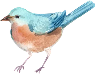 插画免抠高清素材