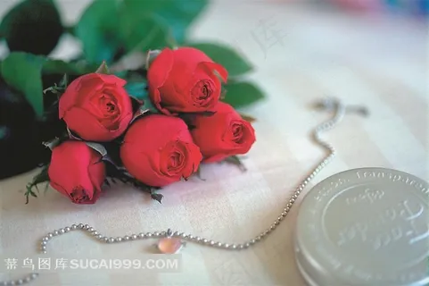 情人节素材项链与红玫瑰