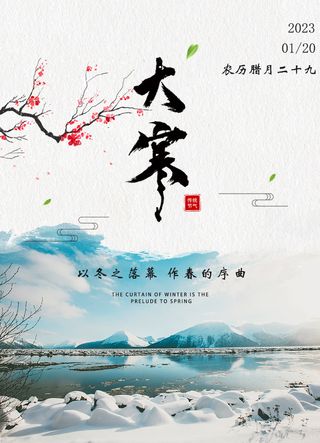 简约风大寒节气海报