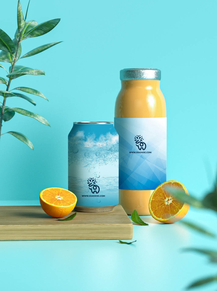 包装智能贴图样机VI效果PSD素材