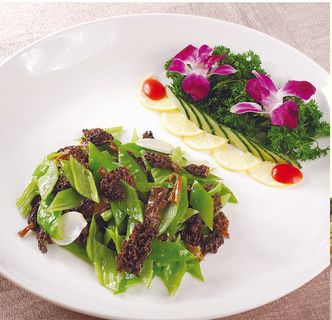 89XC-261青椒羊肚菌