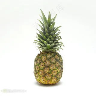 菠萝高清摄影素材