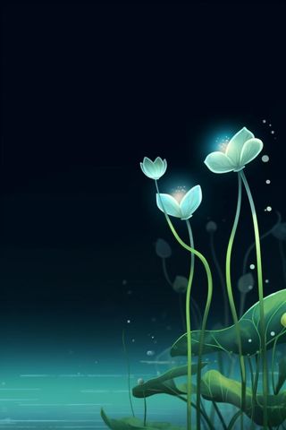 国风夜晚荷花荷叶大气背景