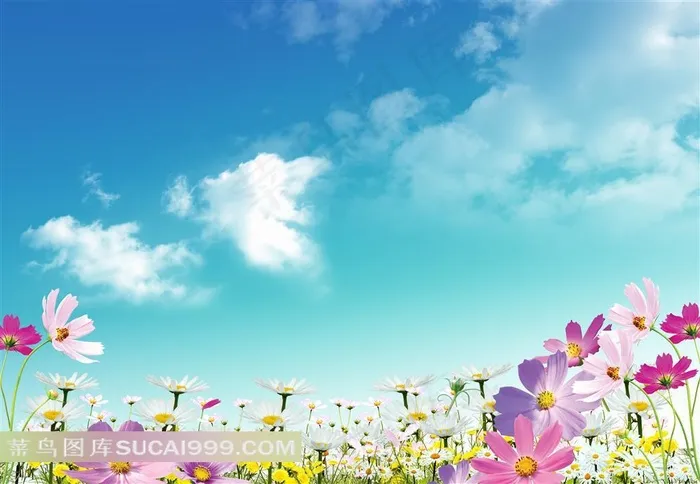 高清时尚蓝天白云鲜花素材风景图片