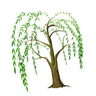 春天绿色春季水墨柳树柳条柳叶春季海报设计PNG免扣素材