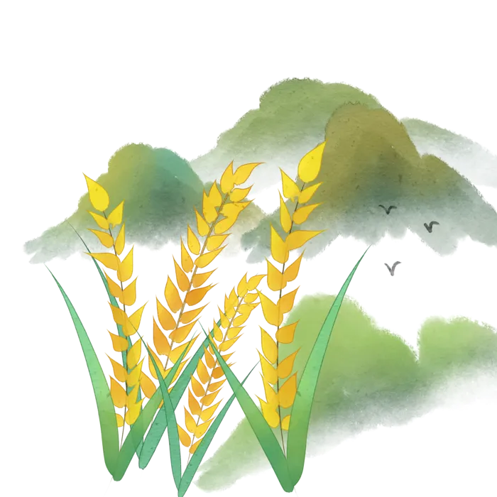 唯美二十四节气夏季插画元素