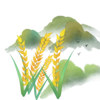 唯美二十四节气夏季插画元素