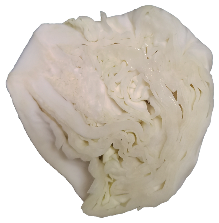包菜菜心切开免抠摄影元素素材psd模版下载
