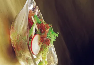 95LC-387健康海藻素膳