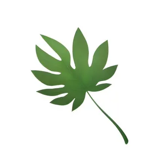 叶子绿叶树叶免抠